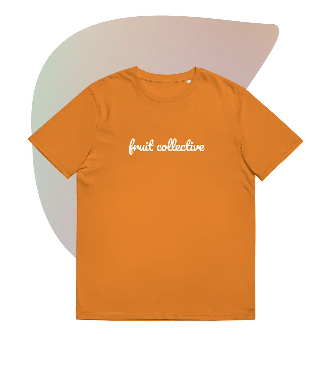 Large logo front organic cotton t-shirt